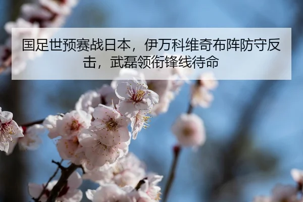 guo-zu-shi-yu-sai-zhan-ri-ben-yi-wan-ke-wei-qi-bu-zhen-fang-shou-fan-ji-wu-lei-ling-xian-feng-xian-dai-ming-3-451.jpg